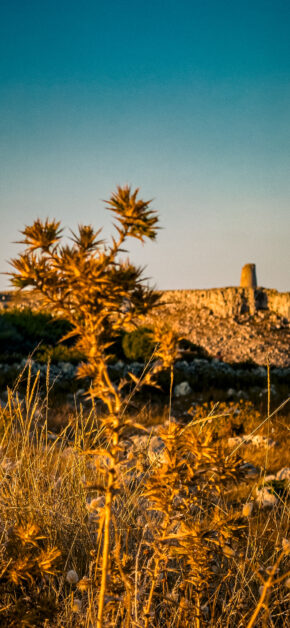 Porto Badiaco – Puglia | Depth Effect