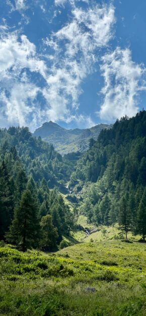 Dolomiti