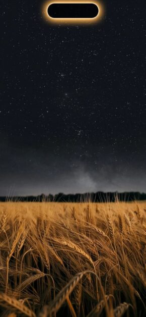 Farmer