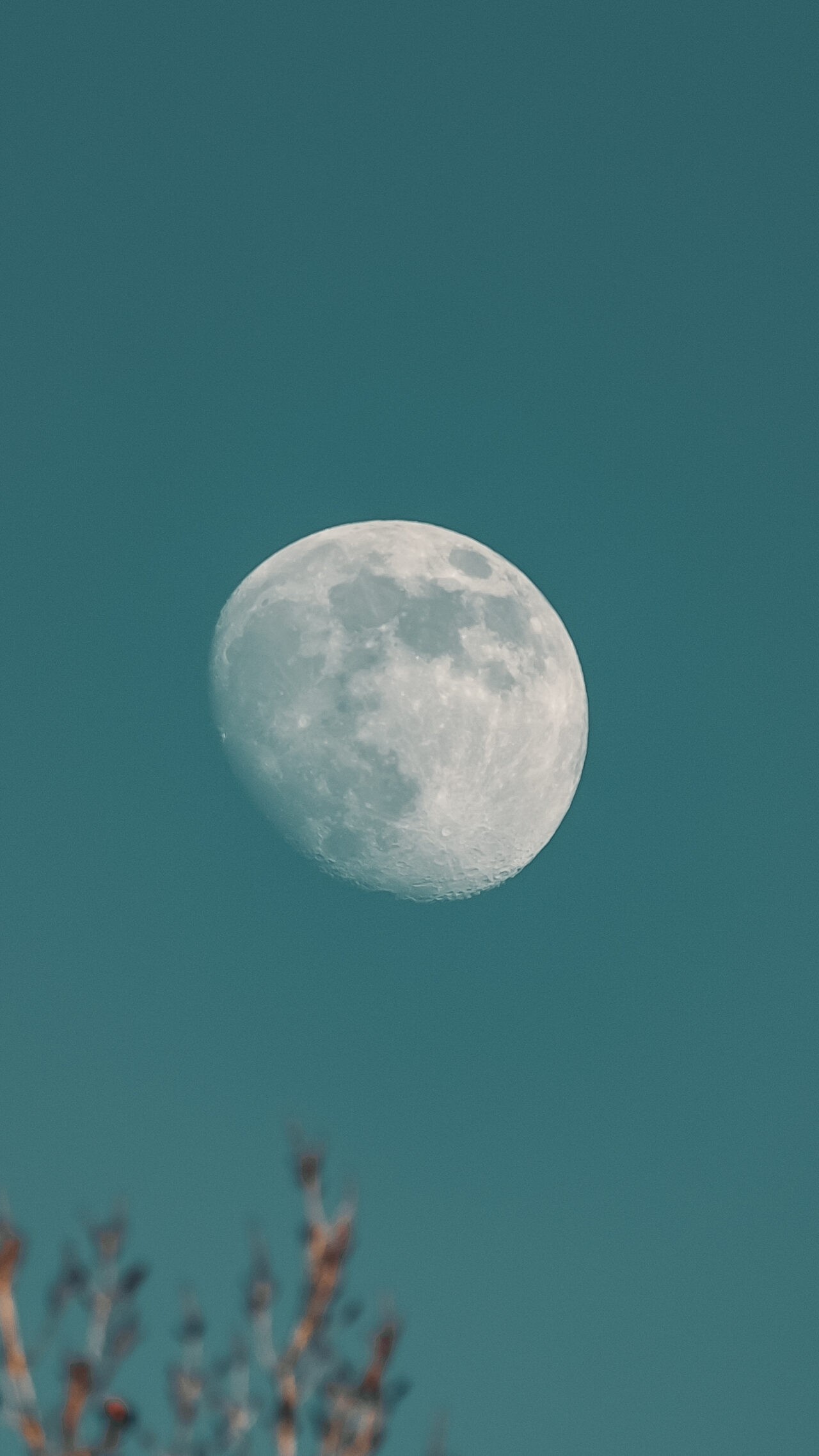 Moon