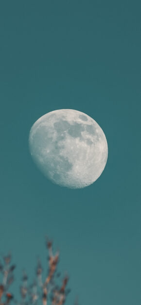 Moon