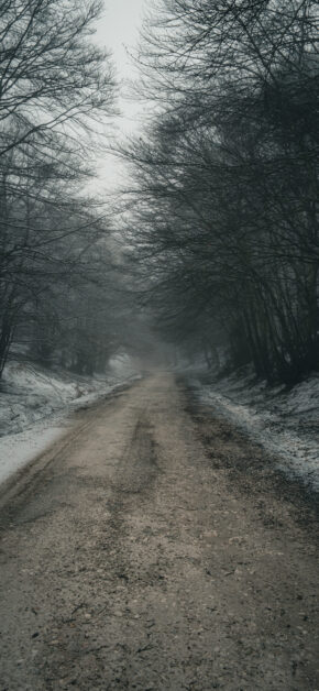 Winter Mood