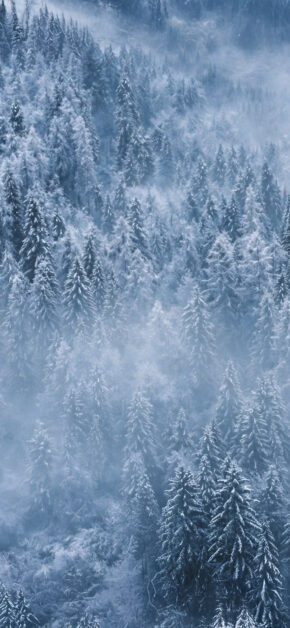 Silence in the snow