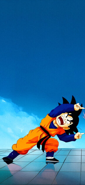 Dragon Ball Z – Fusion #1
