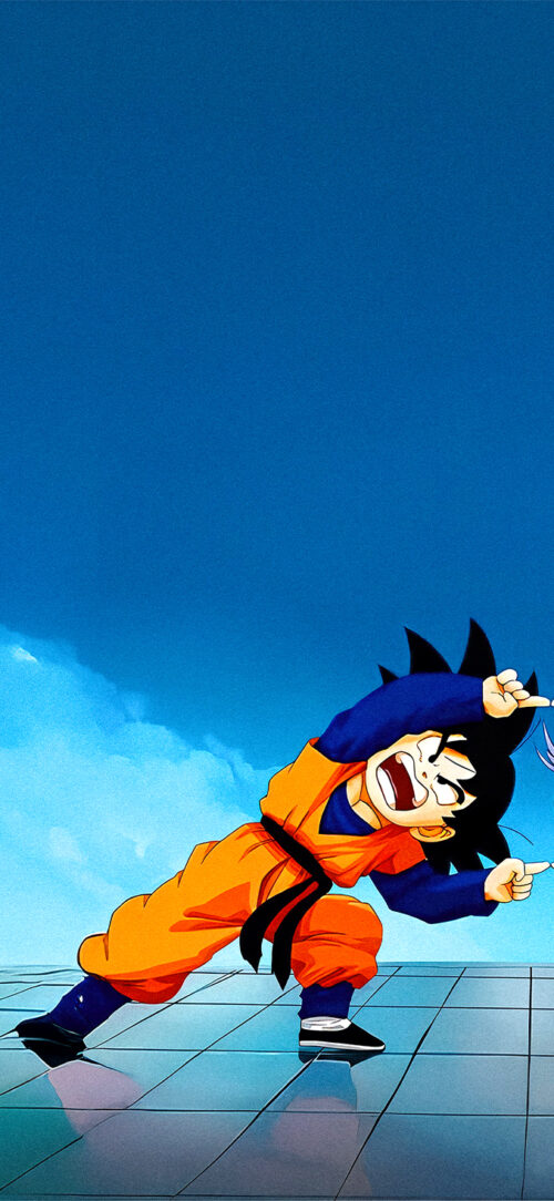 Dragon Ball Z - Fusion #1