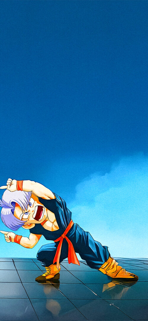 Dragon Ball Z - Fusion #2
