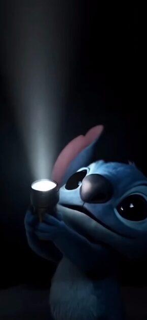 Stitch | Torch