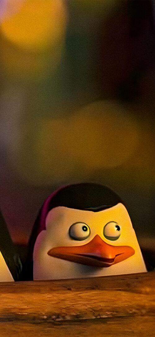 Penguin - Madagascar #4