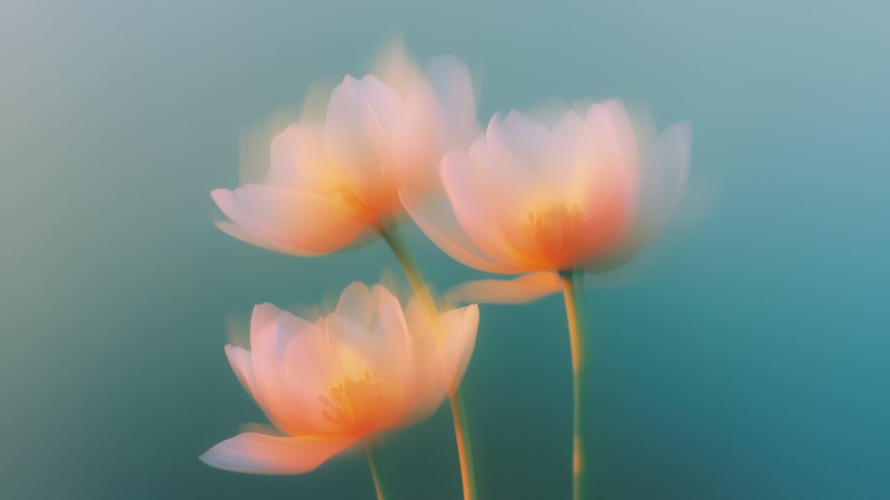 Floral – Orange Tulip