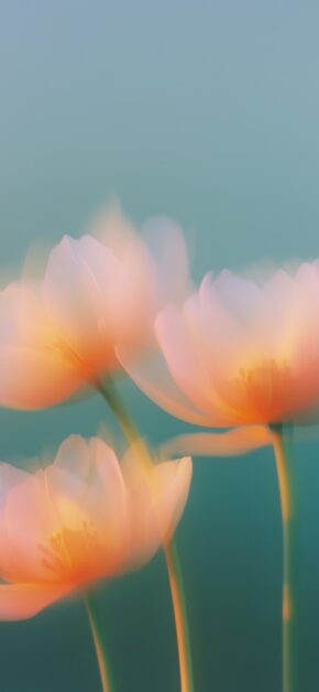 Floral – Orange Tulip