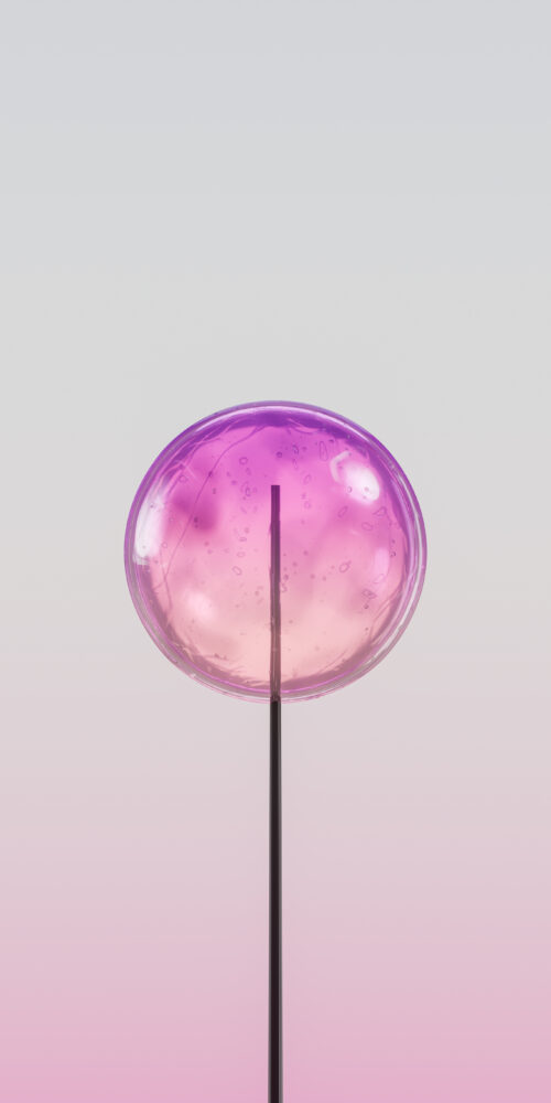 Glossipop Candy Rose