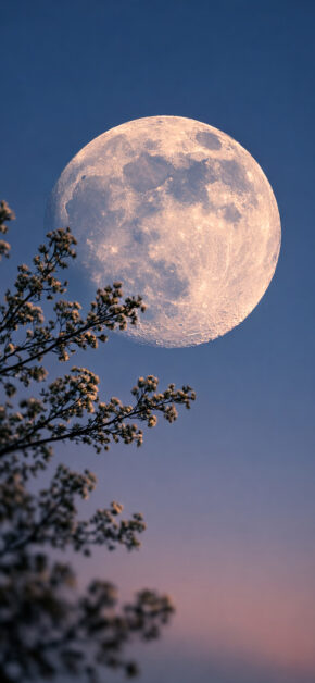 Moon