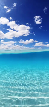 Blue Ocean | LIVE Wallpaper