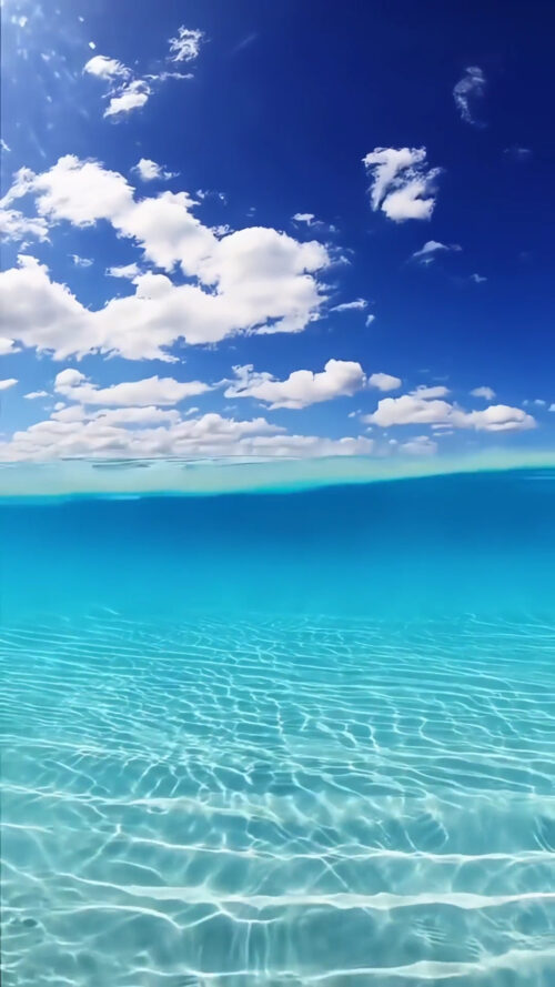 Blue Ocean | LIVE Wallpaper