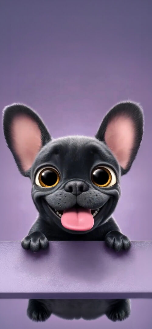 French Bulldog | LIVE Wallpaper