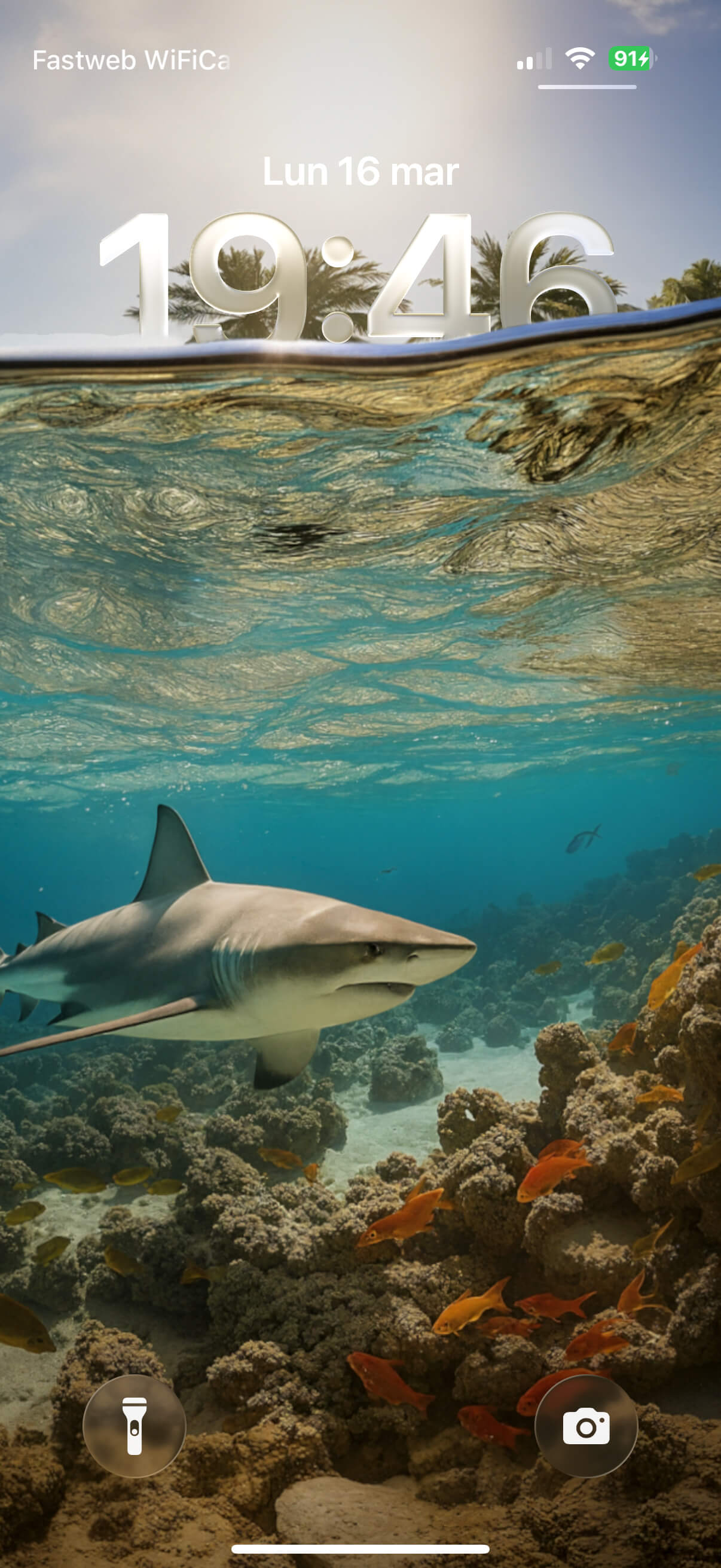 Shark, Underwater | Depth Effect + 3D Spatial Scene