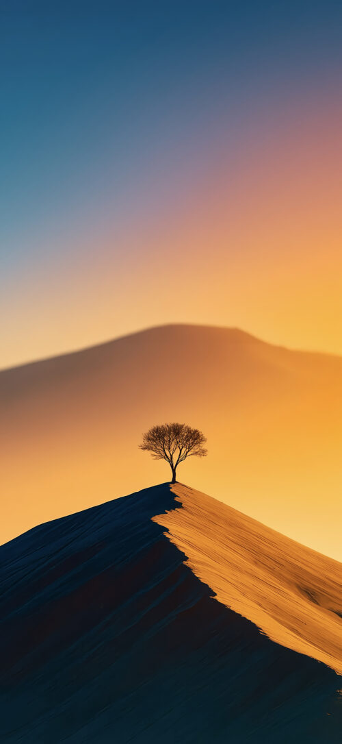 Desert