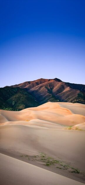 Dunes