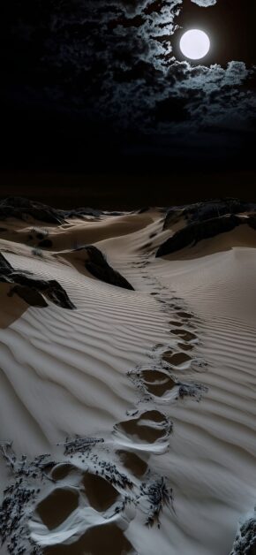 Desert at Night