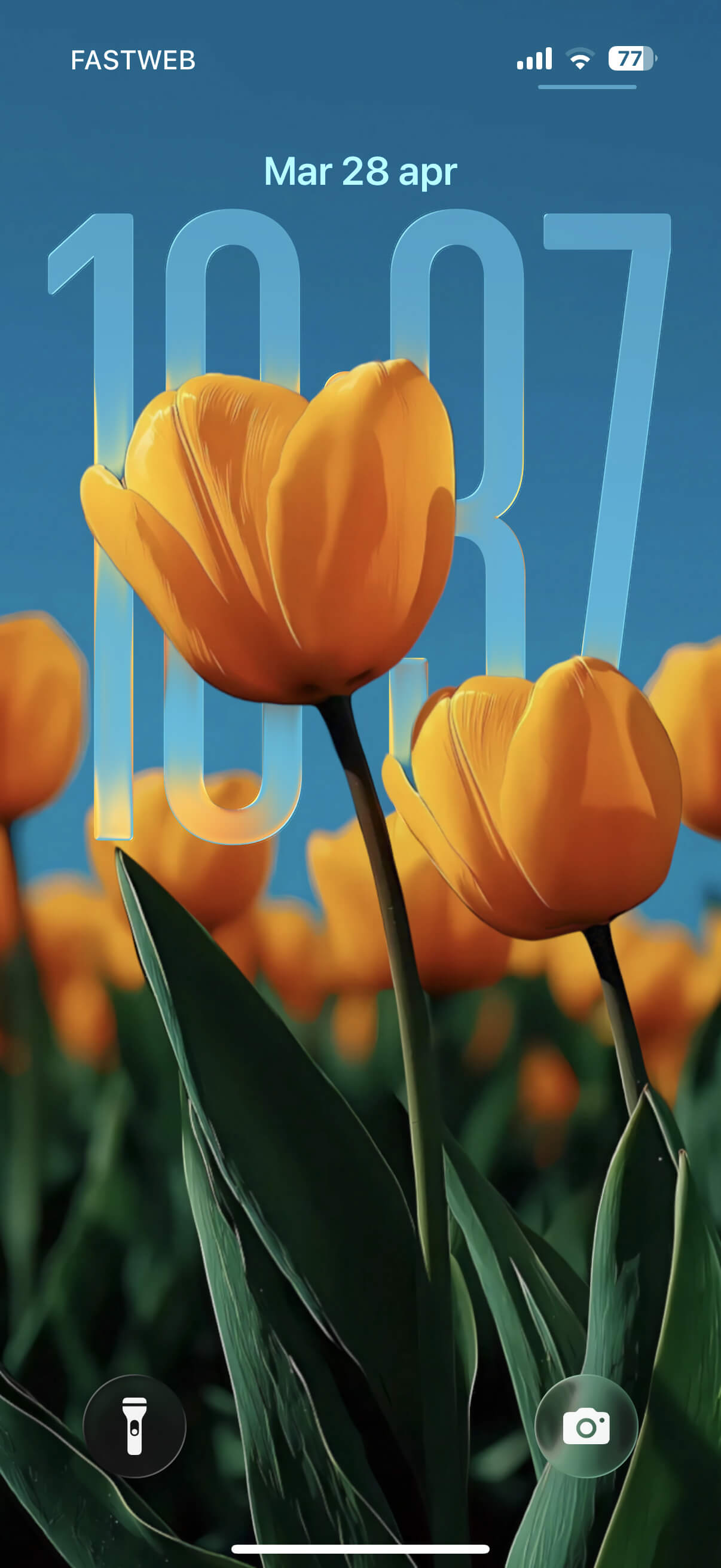 Golden Tulips | Depth Effect + 3D Spatial Scene