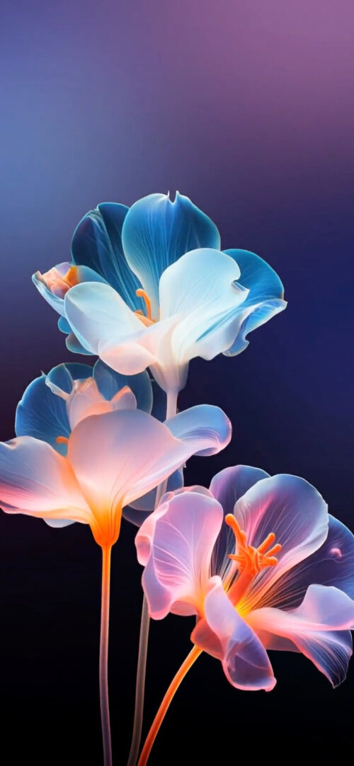 Blooming flowers | LIVE Wallpaper