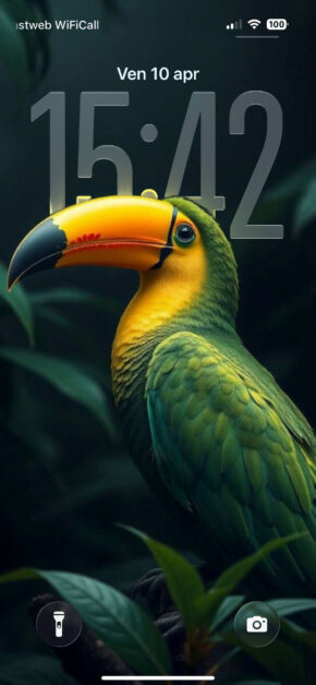 Toucan | Depth Effect + 3D Spatial Scene
