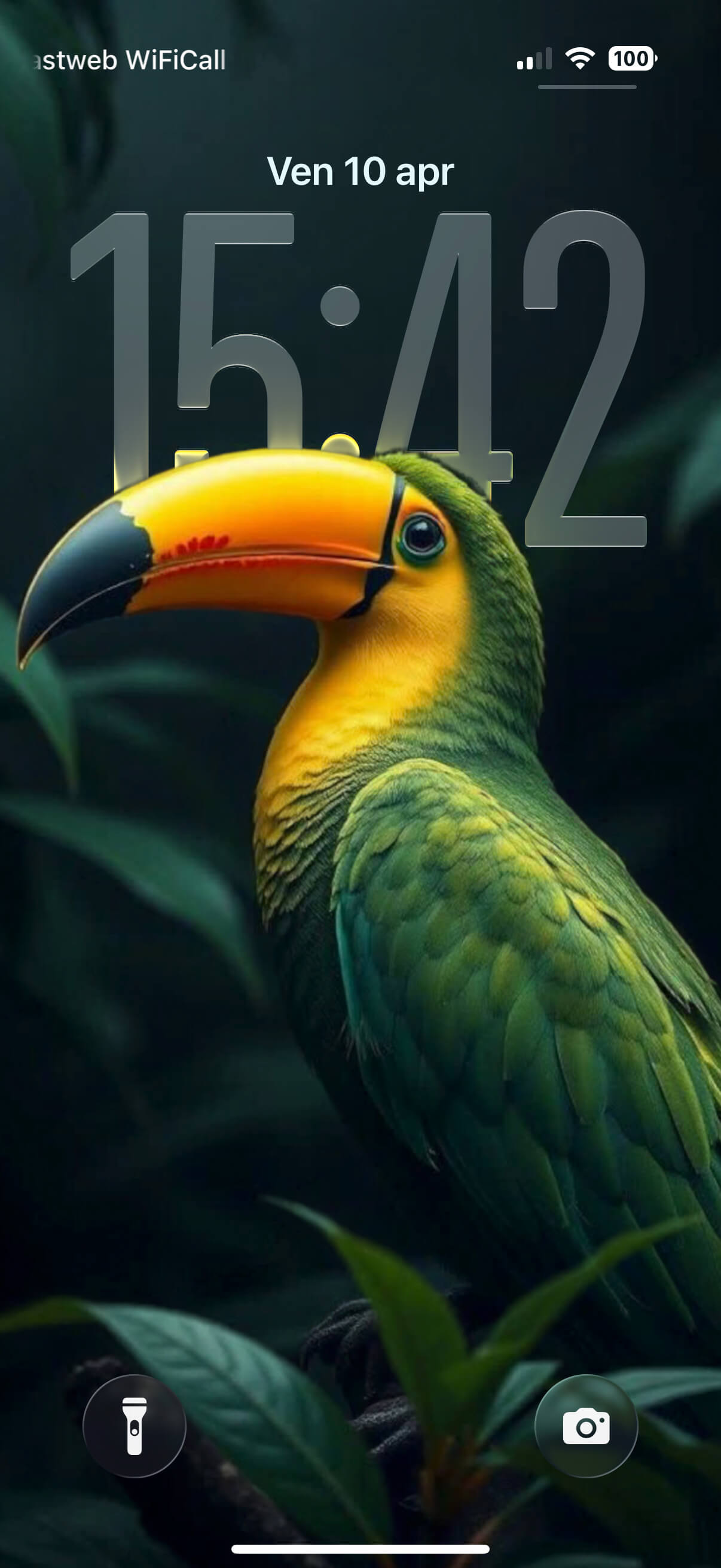 Toucan | Depth Effect + 3D Spatial Scene