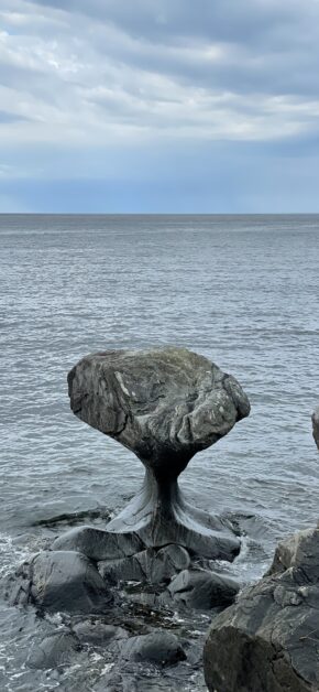 Kannesteinen