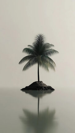 Palm