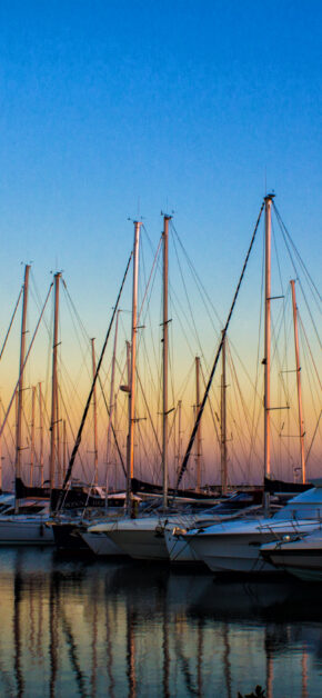 Sea of Quiet Lines