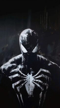 Spider-Man Black