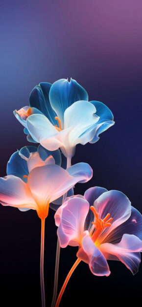 L’Amour Edition #1 | LIVE Wallpaper