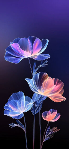 L’Amour Edition #2 | LIVE Wallpaper