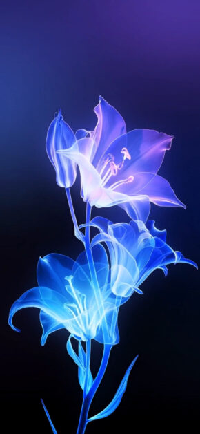L’Amour Edition #3 | LIVE Wallpaper