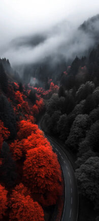 Cold Atmosphere | LIVE Wallpaper