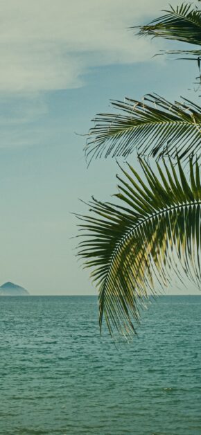 Nha Trang Landscape