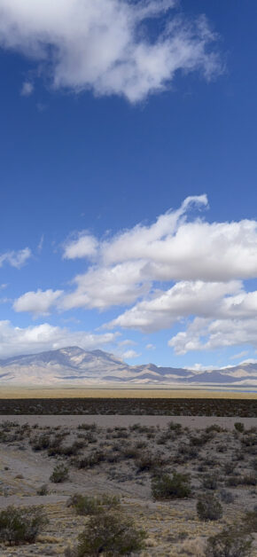 Nevada
