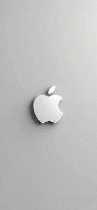 Apple Silver Minimal