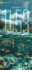 Tropical Paradise Above & Below | Depth Effect + 3D