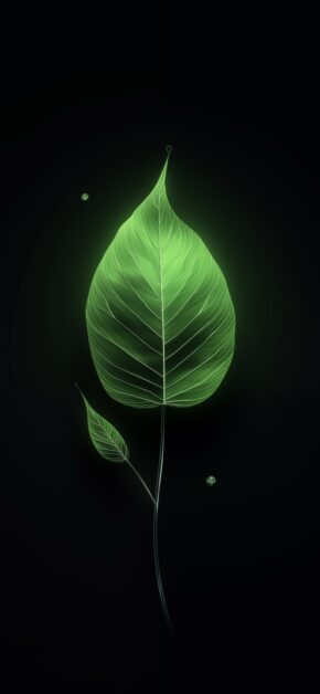 Bright green leaf
