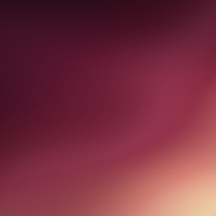 Burgundy elegant