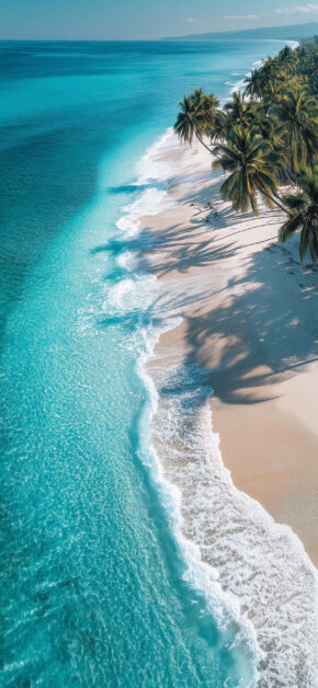 Palm Tree Paradise Beach