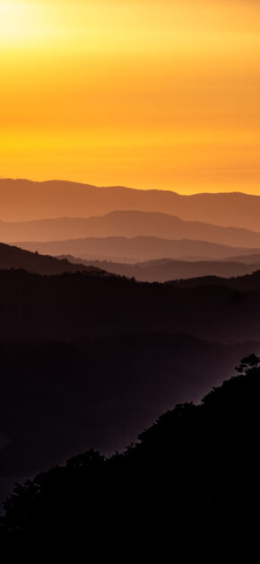 Golden Hour