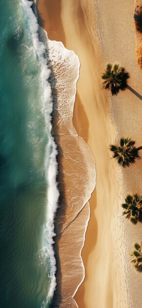 Palm Beach Shoreline