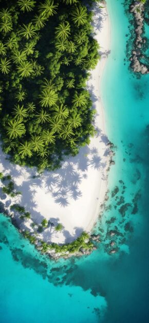 Tropical Island Lagoon