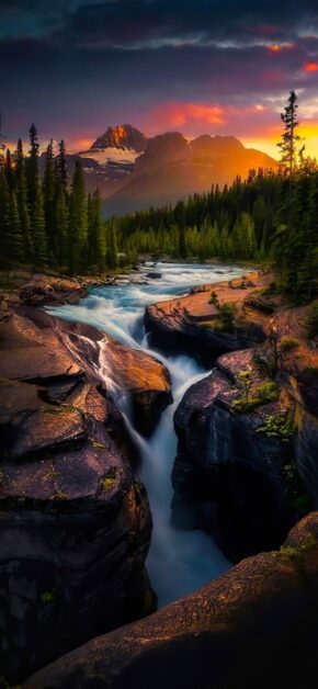 Wild Sunset