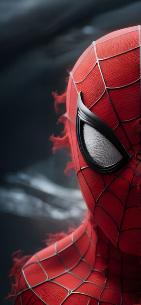 Amazing Spider-Man and Venom
