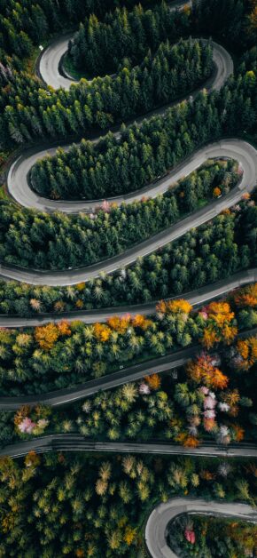 Autumn Trace #2