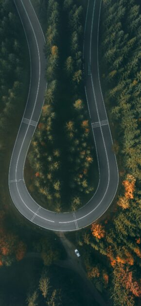 Autumn Trace #5
