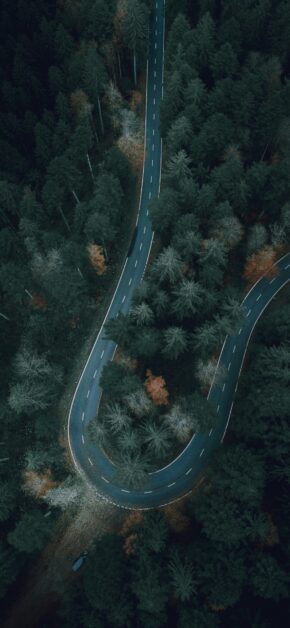 Autumn Trace #6